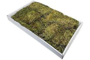 Moranduzzo – Tappeto di Muschio Naturale 44x32 cm – Artigianato Made in Italy – Accessori e Materiali per Realizzare Un Presepe Tradizionale Fai da Te