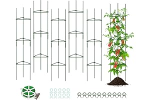 SUNYRISY Tomate Rankhilfe im Set, Pflanzenhalter für Tomate, Rankhilfen für Kletterpflanzen, Pflanzenstütze für Blumen & Nutzpflanzen, DIY Einstellbar 6er Set, 120 cm Höhe, Grün