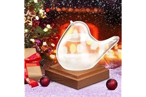 OUZHOU Storm Glass Weather Station, Storm Glass Weather Forecaster Bird Liquid Barometer With Wooden Base Weather Predictor, Weather Storm Glass Home Decor, Holiday Gifts For Men And Women(60mm)