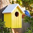 BIRDSHALA Wooden Large Bird House for Sparrow, Bulbul, Budgies, Wild Birds & Pet Birds - Colorful Garden Decorative (Yellow)