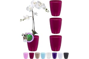 ‎SANTINO Santino 4er-Set Selbstbewässernder Topf mit Dochtsystem und Wasserstandsanzeige für den Innenbereich, Orchideentopf D 16.5cm. (Purple - 3,3L)