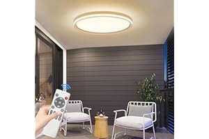 Mikeru 50cm Full Spectrum Ceiling Light, Modern Round LED Brightness Adjustable 10%-100% Ceiling Light, Dimmable 3000k/4500k/6500k for Living Room, Bedroom, Kitchen, Balcony, Hallway, Office