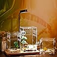 TEMU-SC Reptile Feeding Box, Terrarium Breeding Box, Mini reptile tank, Acrylic Terrarium Kit for Spiderlings,Insect,Snail,Gecko,Bearded Dragon(12 * 12 * 20cm)