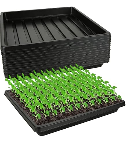 Gartenzubehör Metall WAMJ AQDY Pflanzenwanne Aus Edelstahl – Robuste Anzuchtschale Ohne Löcher, Perfekt Für Drinnen & Draußen, In Vielen Größen, Auslaufsicher & Wiederverwendbar