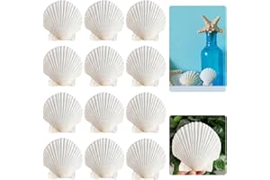 LINGJIA 12 Pezzi Set per Dipingere Conchiglie, Decorazioni Conchiglie, Artigianato, Conchiglie Bianche Grandi, Conchiglie Dipinte, Campanelli a Vento Conchiglie, Conchiglie per Barbecue(10-11cm)