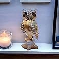 KD HUB Owl showpieces for Home Decor vastu feng Shui - (Gold 17 cm)
