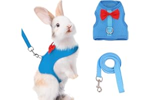 AIITLE Kaninchengeschirr und Leine Set mit süßer Schleife, weiches, atmungsaktives Netzwestengeschirr für Kaninchen, Kätzchen, Frettchen, Welpen, kleine Haustiere, Spazierzubehör, Blau, S