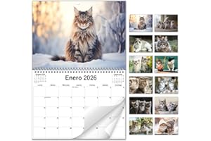 AEYAKA Calendario de Pared de Gatos 2026 – Planificador Mensual con Fotos de Gatos, Calendario Colgante Formato A3, Organizador Familiar y de Oficina, Regalo para los Amantes de los Gatos Español
