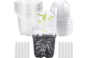 Pizsieat 10 Pièces orchideentopf transparent Für Indoor Outdoor Balkon Schreibtisch (B)