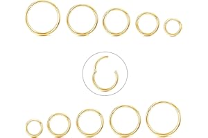 Diamday 10 Pcs 6-12mm 316L Acier Nez Anneaux Septum Piercing Cartilage Cerceaux Segment Anneau Corps Piercing Nez Hoop Anneaux À Lèvres Helix Boucles D'oreilles Pour Femmes Hommes