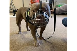 L&J PETS UK Strong Metal Wire Basket Dog Muzzle for American Bully (B3, Black leather/Silver)