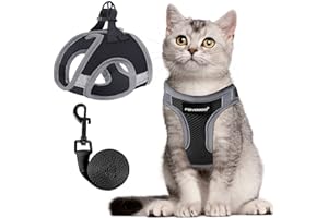 FAYOGOO Katzengeschirr Ausbruchsicher mit Leine, Katzengeschirr Fluchtsicher & Verstellbar Katzenleine mit Reflektorstreifen für Nächtliche Sicher & Bequem für Katzen, Schwarz M