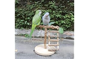 Xixibuy Parrot Stand for Small Birds - Wooden Playground with Perches - 22 * 22 * 21.5CM