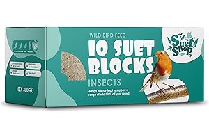 Suet Shop - Insect Suet Blocks for Wild Birds, 300g (Pack of 10) - Enriched with Human Grade Beef Tallow, High in Energy & Protein - All-Season Bird Feed - Manufactured In The UK