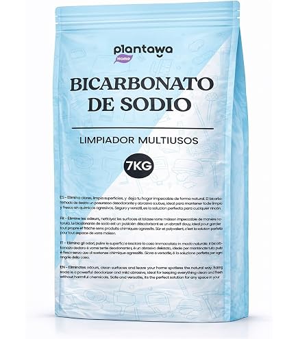 Pistolet De Sablage Au Bicarbonate De Soude BGS 6655 - 1 Litre Pour Nettoyage Délicat
