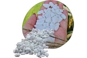 V-PREMIUM SOLUTION -Thassos Weiße Marmor-Kieselsteine - Dekorativ Stein 3-6 cm - Gartendeko - Dekostein - Natürliche Gartendekoration aus Griechenland - Schneeweißer Glanz - Kieselsteine