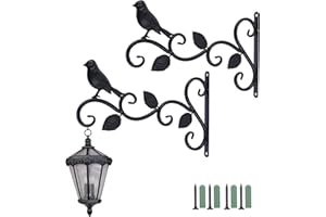 HonGien 2 Pieces Retro Garden Hook Hanging Basket Brackets Wall Hanging Plant Hook Decorative Plant Brackets - for Hanging Lanterns, Flower Pots, Wind Chimes, Street Lamps (Bird)