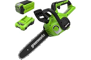 Greenworks G40CS30IIK2 Motosega a Batteria, Lunghezza Barra 12 Pollice (30cm), Velocità Catena 4,2m/s, 2,6kg, Auto-Lubrificante, Batteria 40V 2Ah e Caricabatterie, Garanzia 3 Anni