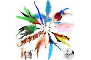 Kemowi Interactive Feather Cat Toy for Indoor Cats - 10 Piece Teaser Wand Refills with Colorful Feathers and Bell