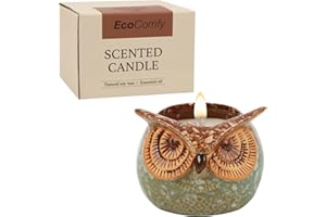 ONBAGLST Owl Scented Candle Gift for Woman with Dried Flowers,350g Soy Citrus Christmas Candle Gift for Woman,30 Hours of Burn Time