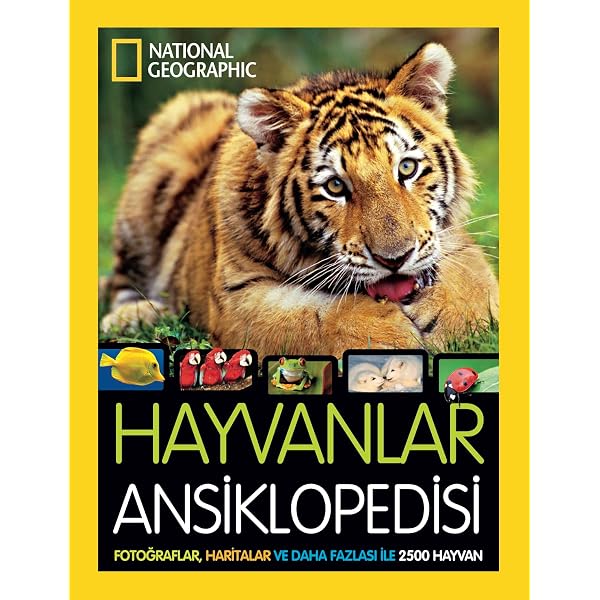 National Geographic Kids - İnanılmaz Sürüngenler (Ciltli) (Kapak