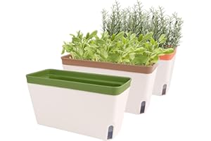 Fayavoo Self Watering Plant Pots, Set of 3 10.5 Inch Rectangular Windowsill Herb Planter Box, Modern Plastic Flower Pots for Indoor Outdoor Garden Office Patio, Planters with Drainage Hole Hidden Tray