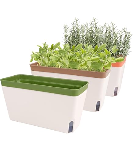 Emsa Blumenkasten, Landhaus-Stil, Lnge 75 cm, Granit, Landhaus, 517694 :  Amazon.de: Garten