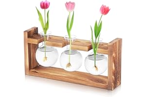 Fentar Ableger Pflanzen Glas, Propagation Station mit Vintage Holzsockel, 3Stk Kleine Vasen für Tischdeko Wohnkultur, Hydroponische Vase, Schön Vermehrungsstation Pflanzen für Hydrokultur Tischdeko