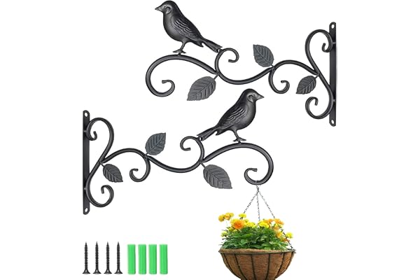 Lot de 2 crochets muraux noirs pour plantes, mangeoires, jardinières et lanternes