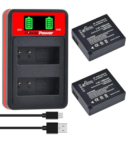 Chargeur + 2 Batteries Compatible Panasonic DMW-BCG10E - Pour Lumix TZ, ZS, ZR, Leica V-LUX - Avec Adaptateur 220V Et Voiture