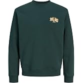 Jack &amp; Jones JJAERO SWEAT CREW NECK Sweatshirt, L, 12298492, Scarab Detail:Small print, erkek
