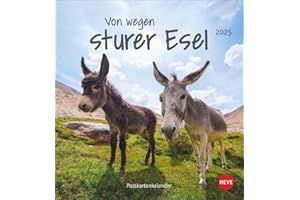 Esel Postkartenkalender 2025 - Von wegen sturer Esel: Kleiner Kalender zum Aufstellen und Aufhängen im Postkartenformat. Monats-Tischkalender für Tierfreunde. (Postkartenkalender Heye)
