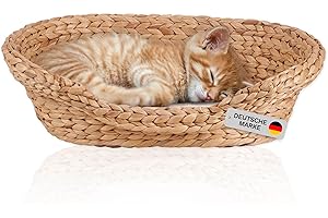 KRATZBAUM.TV Lycce Katzenbett Hundebett für kleine Hunde | Kissen waschbar bei 30° | ovale Form mit hohem Rand | Wasserhyazinthe | Betten, Decken & Möbel für Katzen | Gr. 1 (53 x 40 x 14 cm)