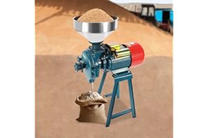 GORGIVOUS 2200W 220V Getreidemühle, Getreidemühle Edelstahl, Getreidemühle Elektrisch, Getreidemühle Mühle Nussmühle mit Trichter, Kommerzielle elektrische Mühle (grün, 2200, Watt)