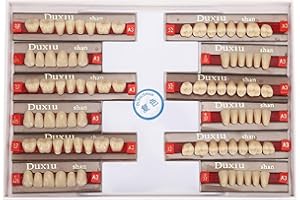 NATUDECO Denti in Resina Sintetica Resina Acrilica Denti Per Protesi Dentale Resina Sintetica Denti Finti Per Modelli di Protesi Dentarie, Progetti Fai-da-te, Forniture Per Dentisti Professionali