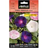 BATLLE Ipomea Climbing Wonders - Bag of Seeds for Planting - Annual Climbing Flowers for Grates, Pergolas, Balconies and Gard