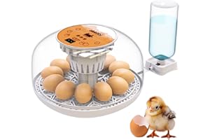 OKKÖBI Okkobi M12 - Incubadora Huevos Gallina Automática - Volteo Automático y Control de Humedad - Chocadeira Ovos Automática - 12/24 huevos, Vista 360°, fácil de usar y limpiar - Blanco y naranja