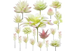 Cayway 20 PCS Artificielles Plantes Succulentes Crémeux et Rose Faux Fleur Succulentes Artificielles Petit Plantes Succulentes Artificielles Décoration pour La Maison Jardin Intérieur Décoration