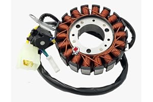 LG-MOTORS POWER ENGINEERING STATORE VOLANO MAGNETE CAMPO MAGNETICO Kymco Grand Dink People 250