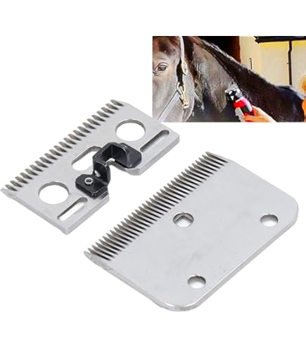 Kerbl Bodenanker-Set für Pfahlbürste Maxi - Hommel Onlineshop
