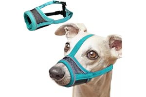 PLUSHCEWT Museruola per cani di taglia piccola e media, in rete traspirante, con gancio regolabile, morbida museruola per cani per evitare morsi di masticare e abbaiare (Verde, M)