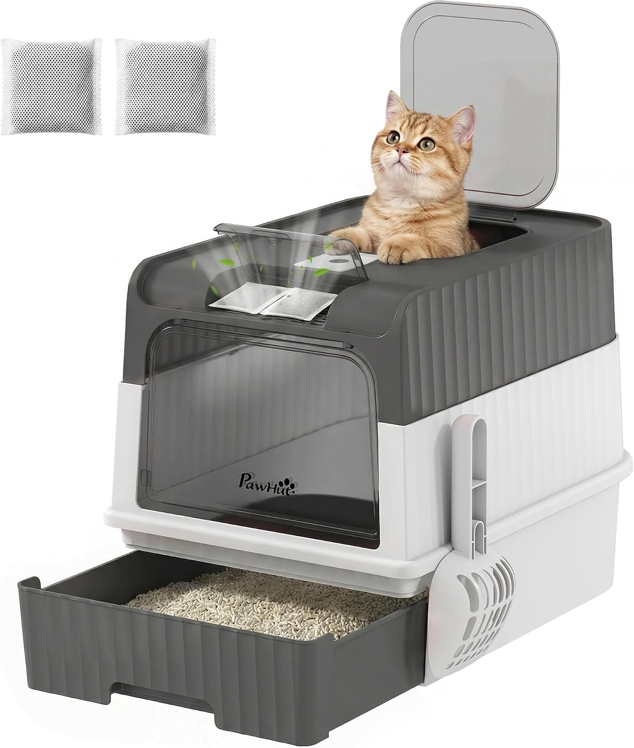 Avis d'Expert & Test Approfondi : PawHut Maison de Toilette pour Chat avec Couv (Sélection)