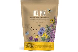 SEEDBALL Bee Mix Seed Bombs - 100 Seed Balls Per Pack | Bee Friendly British Wildflower Seeds - Clay Seed Bomb Mix of Poppy, Chamomile, Cornflower, Corn Marigold & Night–Flowering Catchfly