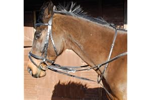 Gallop Equestrian Market Harborough