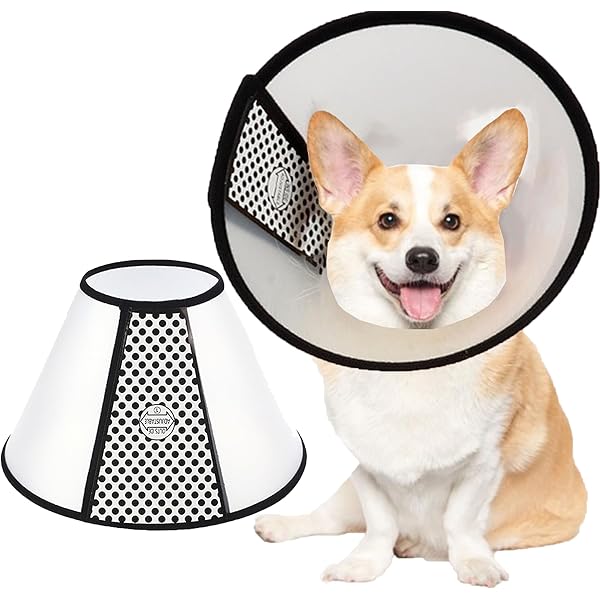 Collare Elisabettiano Per Cani E Gatti - Cono Recupero Regolabile Circonferenza 18-20cm