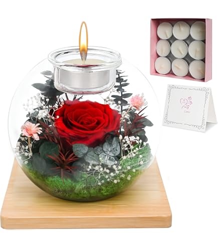 Eternal Flower Cloche en verre avec 50 bougies parfumées, ensemble d'aromathérapie avec rose éternelle, décoration romantique - Maison Eternal Flower Cloche en verre avec 50 bougies parfumées, ensemble d'aromathérapie avec rose éternelle, décoration romantique - Maison
