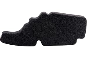 AHL Motocicleta 843194 Filtro de Aire compatible con VESPA Primavera 125 / PIAGGIO FLY 125/ TYPHOON 125 / Typhoon 50 4 Stroke/LIBERTY 125 / APRILIA Sportcity 50 125 SR50 Motard