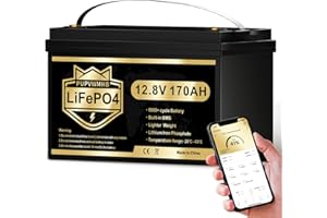 PUPVWMHB LiFePO4 12V 170AH Autobatterie Bluetooth 150A BMS über 5000 Mal Tiefzyklus Lithium Akku 2176W Abschaltschutz bei Niedriger Temperatur für Wohnmobil, Camping, Boot, Solare Heimanlagen