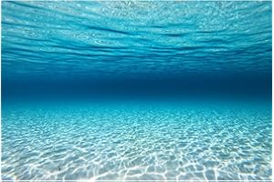 MIRRORANG 91x50cm Sottomarino Tema Acquario Sfondo Blu Oceano Subacqueo Mondo Acquario Sfondo Acquario Sfondo