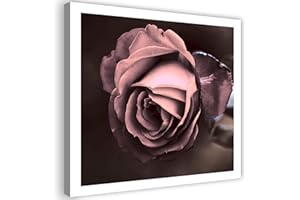 Feeby Wanddeko Blume Leinwandbilder Kunstdruck Rose Natur Rosa 50x50 cm